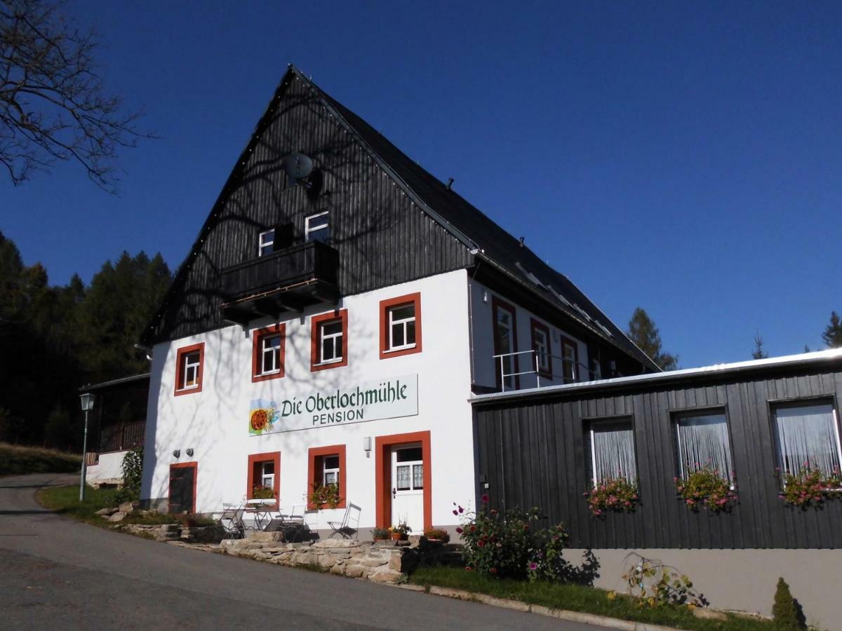 Die Oberlochmuehle Pension Deutschneudorf Εξωτερικό φωτογραφία